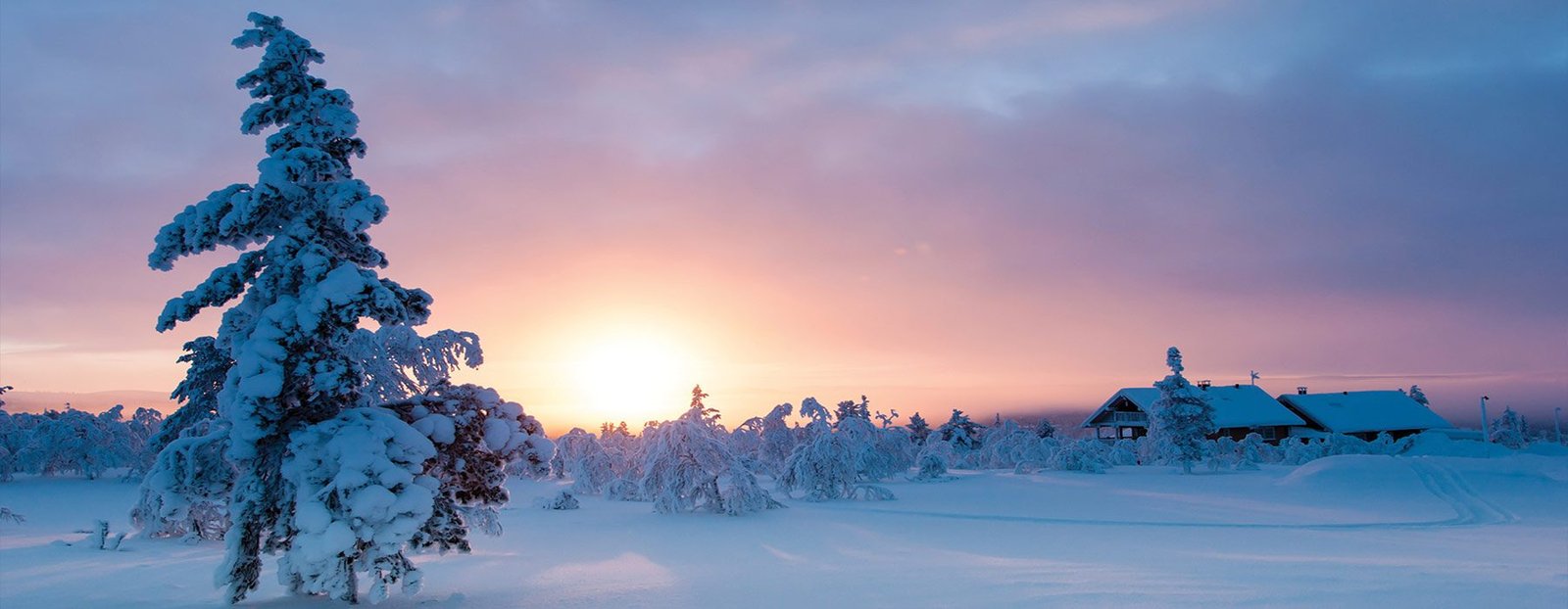 Servi&ccedil;os de MC e Anima&ccedil;&ordm;ao